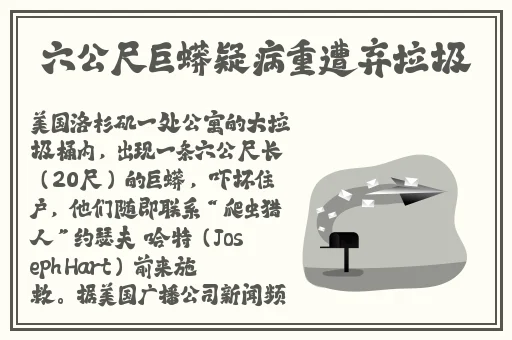 一线高清视频免费观看在线
